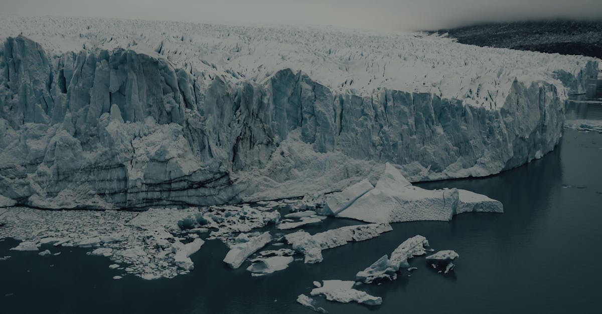 découvrez l'impact du climat sur notre planète, avec un focus sur les causes, les effets et les actions à prendre pour préserver notre environnement. informez-vous sur les enjeux environnementaux cruciaux et les solutions durables qui peuvent faire une différence.