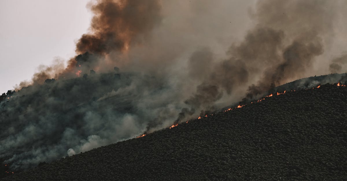 explorez l'impact du climat sur notre planète : découvrez les enjeux environnementaux, les conséquences du changement climatique et les actions nécessaires pour préserver notre avenir.