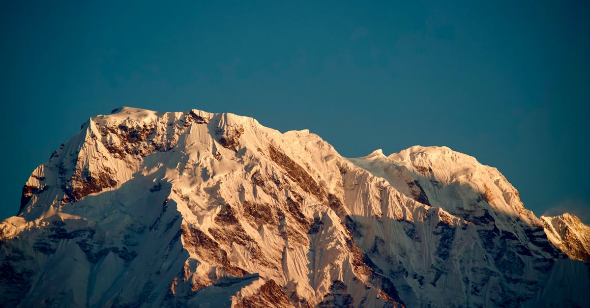 découvrez les politiques climatiques qui façonnent notre avenir. analyse des mesures prises par les gouvernements et les organisations pour lutter contre le changement climatique, réduire les émissions de gaz à effet de serre et promouvoir un développement durable.