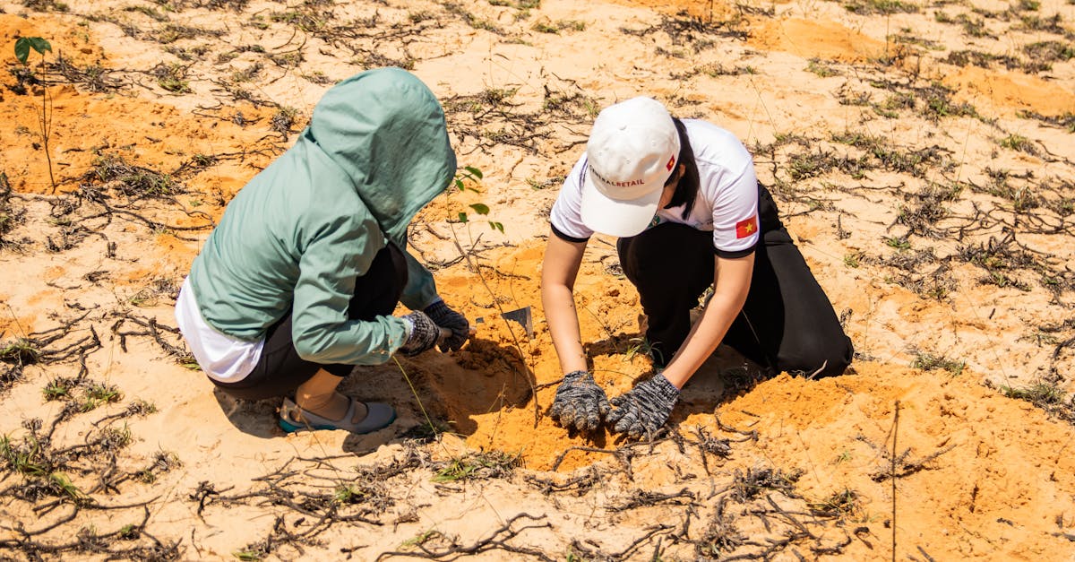 découvrez les initiatives écologiques innovantes qui transforment notre planète vers un avenir durable. explorez des projets inspirants, des conseils pratiques et des solutions pour une vie respectueuse de l'environnement.