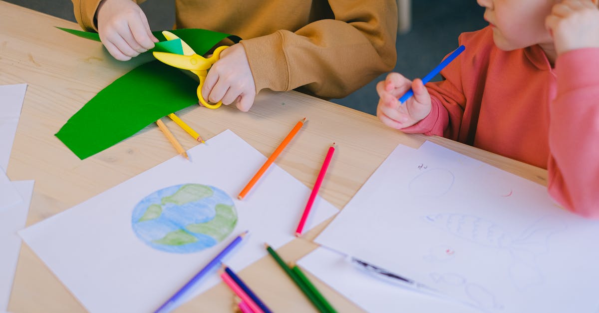 découvrez l'importance de l'éducation environnementale pour sensibiliser les individus à la protection de notre planète. explorez des ressources, des programmes et des initiatives visant à promouvoir une conscience écologique afin de préserver notre environnement pour les générations futures.