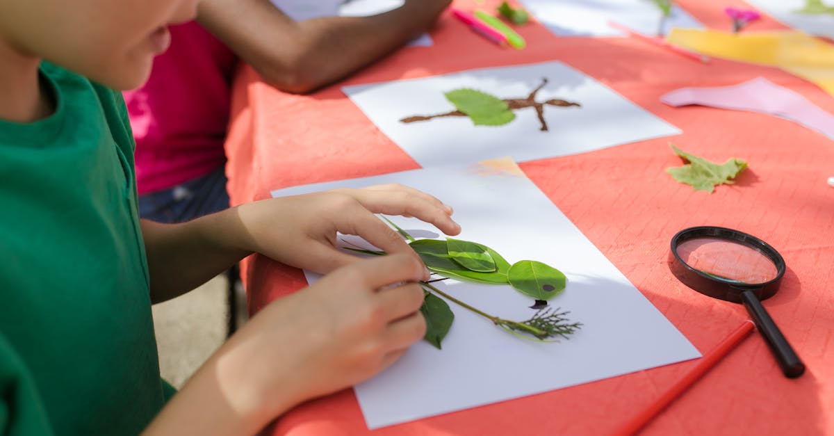 découvrez l'importance de l'éducation environnementale pour sensibiliser les générations futures aux enjeux écologiques, promouvoir des comportements durables et préserver notre planète. explorez des méthodes innovantes, des ressources pédagogiques et des initiatives inspirantes qui encouragent un engagement actif pour la protection de l'environnement.