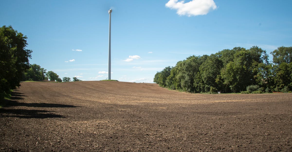 découvrez tout sur les taxes environnementales : leur impact sur l'économie, les initiatives écologiques et comment elles encouragent les comportements responsables pour un avenir durable.