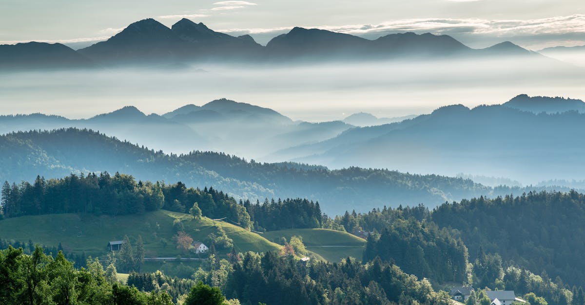 découvrez le green deal européen, une initiative ambitieuse de l'union européenne visant à rendre l'europe climatiquement neutre d'ici 2050 en favorisant la durabilité, la protection de l'environnement et la croissance économique. explorez les mesures clés et l'impact de ce plan sur le futur énergétique et écologique de l'europe.