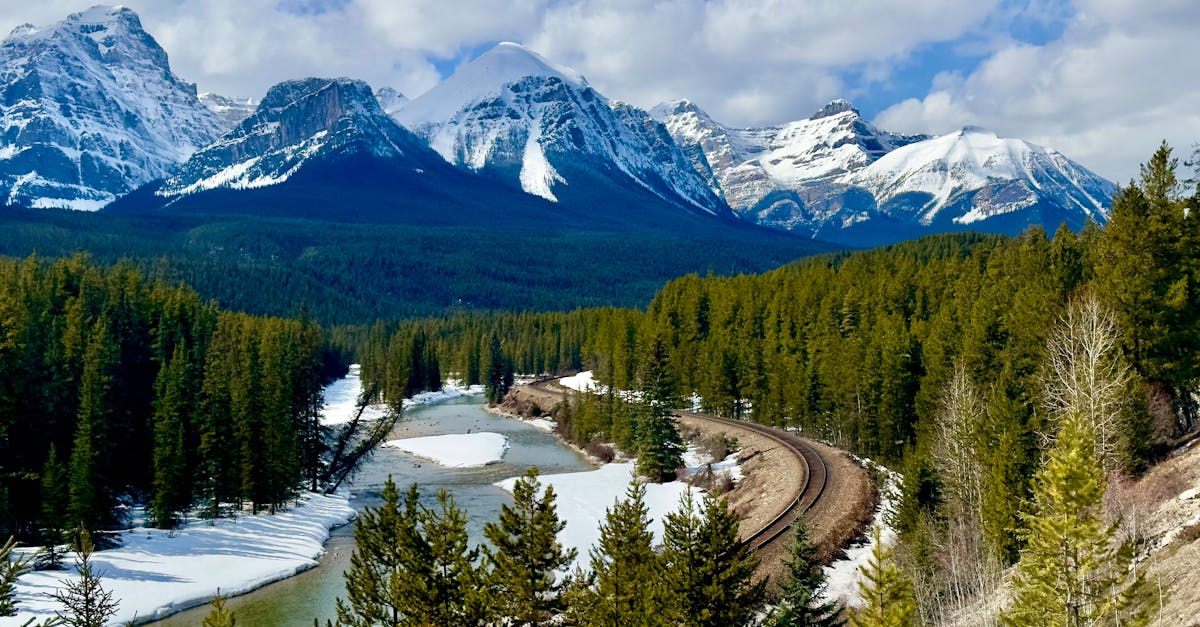 découvrez la beauté et l'importance des forêts, ces écosystèmes vitaux qui abritent une biodiversité riche, régulent le climat et nous offrent des ressources essentielles. explorez leurs secrets et engagez-vous pour leur préservation.