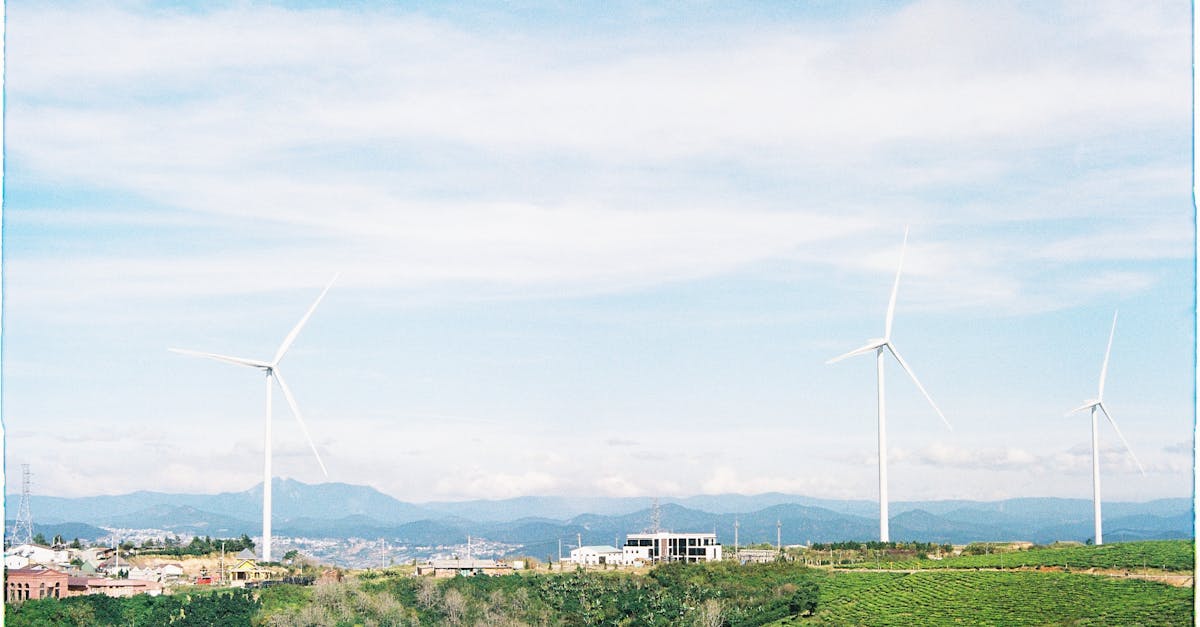 découvrez l'économie verte, un modèle durable qui favorise la protection de l'environnement tout en stimulant la croissance économique. apprenez comment les entreprises et les gouvernements adoptent des pratiques respectueuses de la planète pour bâtir un avenir plus sain et équitable.