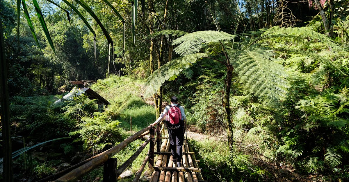 découvrez les startups écologiques qui révolutionnent le monde des affaires avec des solutions durables et innovantes. inspirez-vous de ces entreprises vertes qui allient profit et protection de l'environnement.