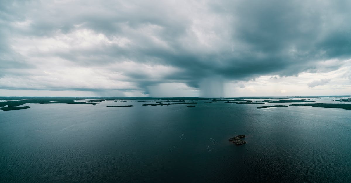 découvrez comment les océans régulent le climat de notre planète, influençant les conditions météorologiques et jouant un rôle crucial dans la lutte contre le changement climatique. explorez l'importance de la conservation marine pour un avenir durable.