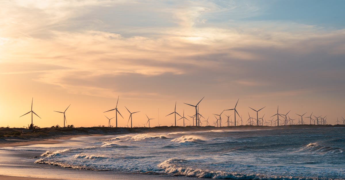 découvrez les dernières innovations en technologie de conservation des océans, visant à protéger la biodiversité marine et à lutter contre la pollution. informez-vous sur les solutions durables qui préservent nos précieuses ressources océaniques pour les générations futures.