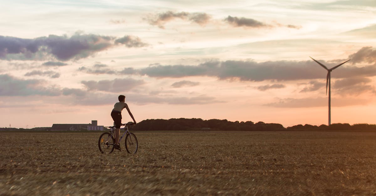 découvrez comment la durabilité transforme notre manière de vivre, d'entreprendre et de consommer. explorez des initiatives innovantes, des conseils pratiques et des solutions écologiques pour un avenir plus respectueux de l'environnement.