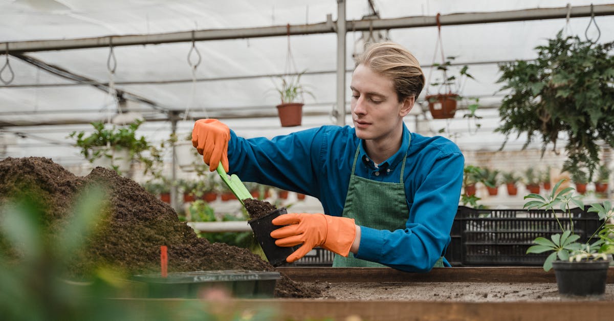 découvrez l'art du jardinage durable : des astuces pour cultiver un jardin respectueux de l'environnement, en harmonie avec la nature et en préservant les ressources. transformez votre espace vert en un écosystème florissant qui contribue à la biodiversité.