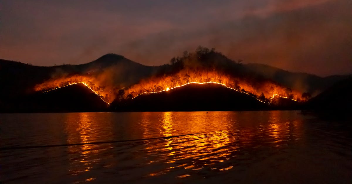 découvrez les causes, les conséquences et les mesures de prévention des feux de forêt, des catastrophes naturelles qui impactent notre environnement et nos écosystèmes. informez-vous sur l'importance de la gestion des forêts et les actions à mener pour protéger notre planète face à ces enjeux.