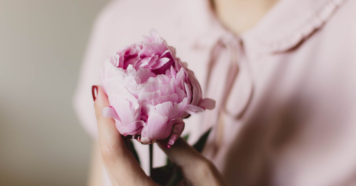 découvrez l'univers fascinant des femmes à travers des histoires inspirantes, des conseils de mode, des conseils de bien-être et des expériences uniques qui mettent en valeur la force et la diversité féminine.