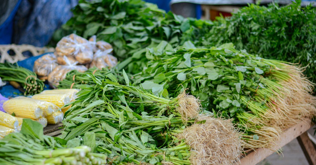 Systèmes alimentaires durables et changement climatique