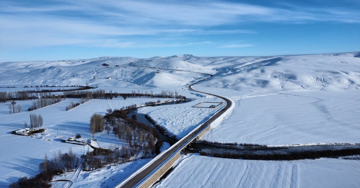 découvrez l'urgence climatique et son impact sur notre planète. explorez les enjeux environnementaux majeurs, les actions nécessaires pour lutter contre le changement climatique et comment chacun peut contribuer à un avenir durable.