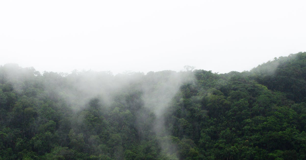 découvrez l'urgence climatique et ses enjeux critiques. informez-vous sur les actions nécessaires pour lutter contre le changement climatique et protéger notre planète pour les générations futures.