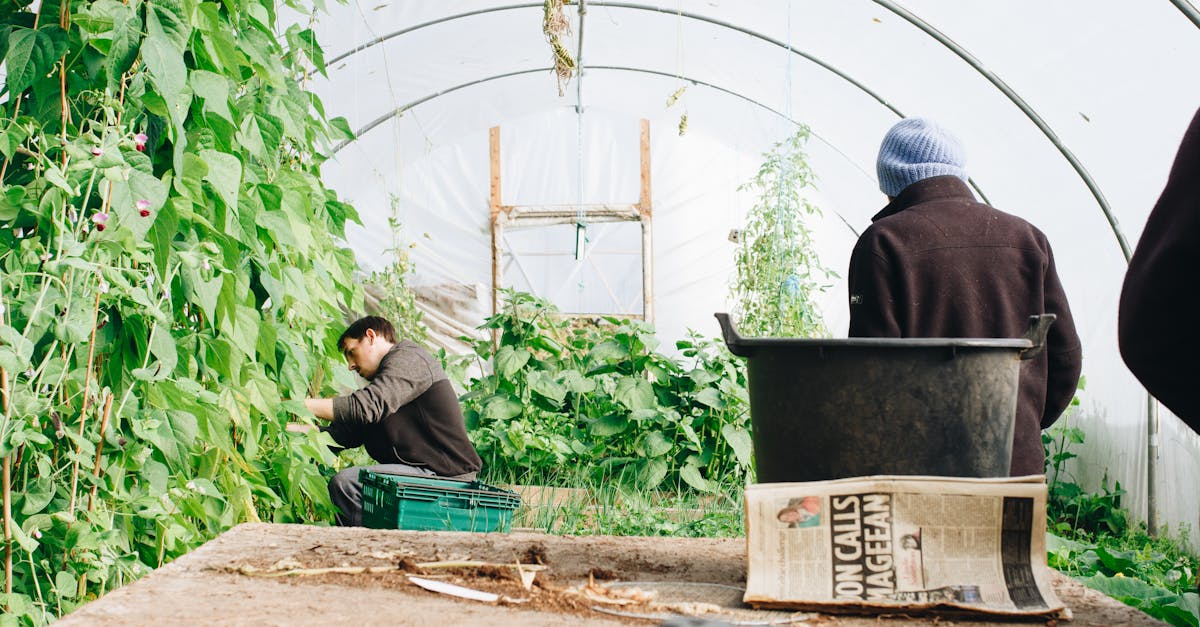 découvrez l'art du jardinage avec nos conseils pratiques et astuces pour créer un jardin florissant. que vous soyez débutant ou expert, trouvez l'inspiration pour cultiver vos plantes et transformer votre espace extérieur en un véritable havre de paix.