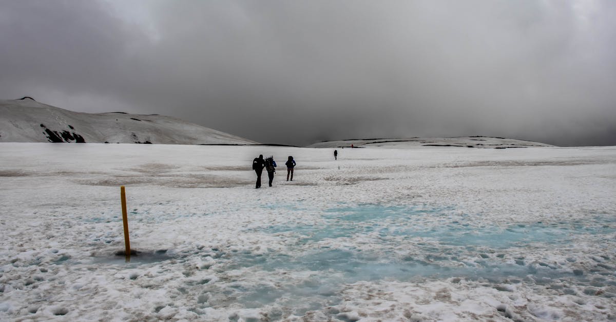 découvrez la fascinante dynamique des glaciers, un phénomène naturel qui façonne notre planète. explorez les mouvements, les interactions et les impacts des glaciers sur l'environnement, tout en comprenant les enjeux liés au changement climatique.