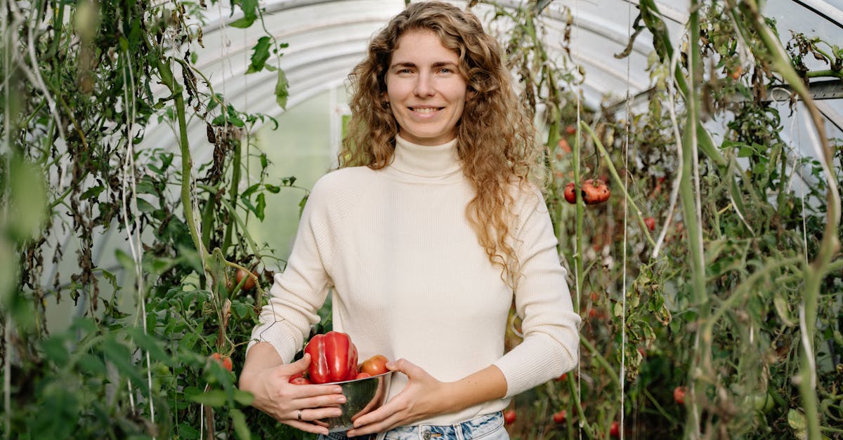 découvrez la permaculture, une méthode de culture durable qui harmonise l'agriculture et l'écologie. apprenez à créer des jardins respectueux de l'environnement, à maximiser les ressources naturelles et à promouvoir la biodiversité pour un avenir plus vert.