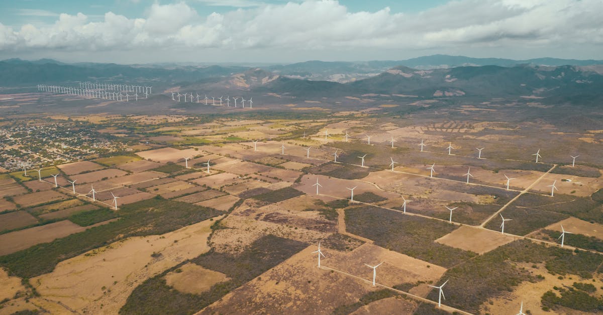 découvrez comment construire un avenir durable grâce à des pratiques écologiques, des innovations responsables et une sensibilisation collective pour préserver notre planète pour les générations futures.